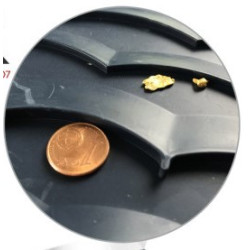 Esclusa de lavado de oro 18x60cm + alfombra Vortex