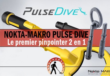Nokta-Makro PULSEDIVE : the field test